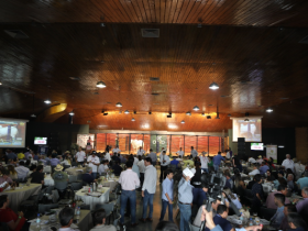 Faturamento dos leilões da ExpoZebu atinge R$29,5 milhões