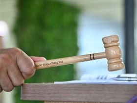 Leilões da 89ª ExpoZebu já somam mais de R$ 112 milhões em faturamento