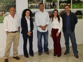 Cresce uso de FIV com foco em produtividade