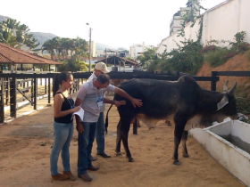 ABCZ apresenta Pró-Genética em assembleia da ASBRAER