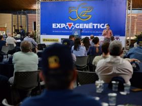 ?Evolução do status para livre de febre aftosa sem vacinação? encerra a manhã de debates técnicos