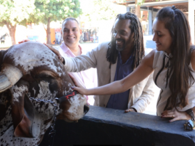 Representantes de escolas de samba visitam Uberaba e querem levar Zebu para o Carnaval carioca