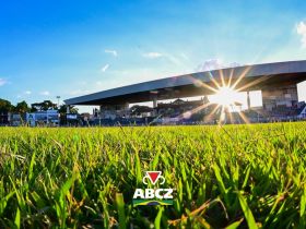 Julgamentos das raças zebuínas marcam a programação deste domingo na 91ª ExpoZebu