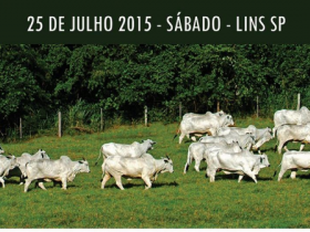 Dia de Campo em SP destacará animais avaliados pelo PMGZ
