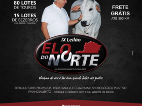 Elo do Norte oferta touros PMGZ em Joaquim Felício, MG 
