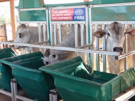 Inscrições para PNAT 2021 terminam na próxima sexta (19)