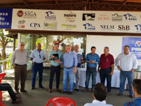 ?2ª PGP a pasto Amigos do Nelore? termina com 32 animais participantes