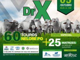 1º Leilão DRX de Touros Nelore PO recebe homologação da ABCZ