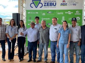 ABCZ divulga resultados oficiais da primeira etapa do programa ‘Zebu: Carne de Qualidade’