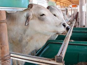 Divulgado o Regulamento do PNAT 2018