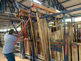 Bezerros participantes do ?Zebu: Carne de Qualidade? passam por mais uma pesagem