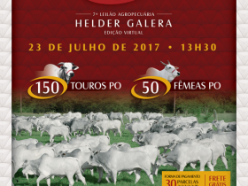 Com chancela do Pró-Genética, Leilão Helder Galera terá oferta de 150 touros