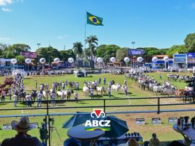 91ª ExpoZebu já soma mais de 2.500 animais inscritos