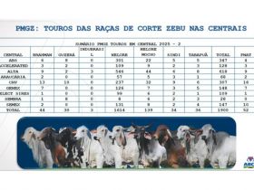 Sumário PMGZ da ABCZ possui o maior número de touros avaliados presentes nas centrais de IA