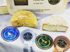 Queijos produzidos com leite de Zebu conquistam prêmio internacional