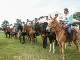ABCZ realiza 1º Concurso de Marcha de Muares dentro da Equishow 2019