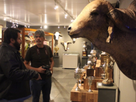 Fotógrafo Chico Max começa ensaio especial no Museu do Zebu