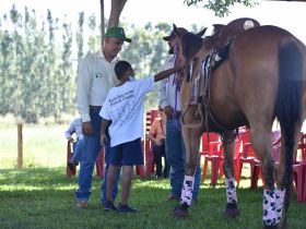 88ª ExpoZebu: Ação social será realizada durante a ABCZ Equishow 2023