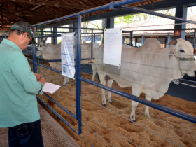 ExpoGenética: Inscrições abertas para o Prêmio Claudio Carvalho