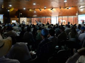 ExpoGenética 2022: Temporada de leilões e shopping começa nesta sexta (19)