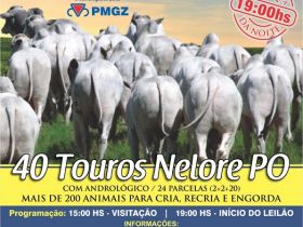 10º Leilão Nelore Fazenda Nativa ofertará reprodutores com genética comprovada