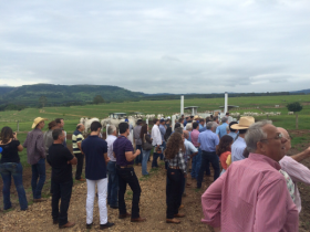 Dia de Campo com PMGZ e Pró-Genética leva 150 pessoas para Fazenda Da-Car