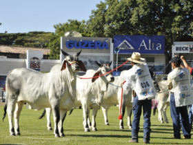 ACGB divulga resultado final do Ranking 2015/2016