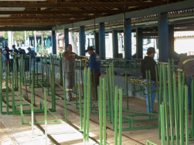 Preparativos para ?Natal no Parque? já movimentam Parque Fernando Costa