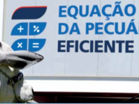 ExpoGenética promove Curso do Projeto Equação da Pecuária Eficiente