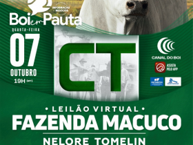?Leilão Virtual Fazenda Macuco? vai oferecer 30 touros Nelore no próximo dia 7