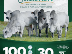 Mais de 100 animais serão ofertados no ?3º Leilão Fazenda Jacamim?