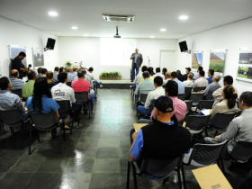 Perspectivas são de crescimento para a pecuária, afirma Scot Consultoria