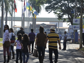 DSM Tortuga apresenta suplementos na ExpoZebu