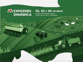 Criadores participantes do 100% PMGZ terão vitrine na ExpoZebu Dinâmica