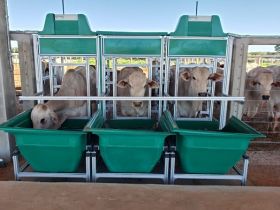 ABCZ divulga resultados da primeira etapa do programa ?Zebu: Carne de Qualidade? 