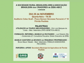 ABCZ e SRB realizam seminário técnico nesta quarta (25)