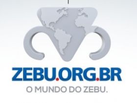 Zebu.org alcança mais 250 mil pessoas em uma semana