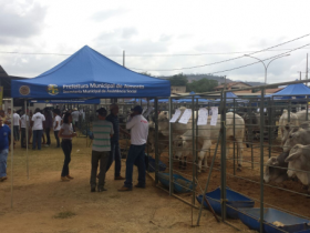 Pró-Genética atende produtores de Aimorés/MG