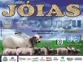 7º Leilão Jóias do Xingu e convidados oferta animais avaliados pelo PMGZ