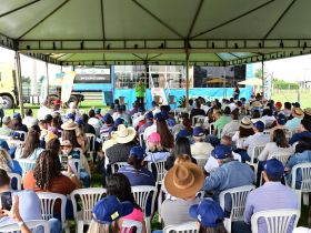 Tecnologia, resultados e bons negócios: Dia de Campo movimenta a 90ª ExpoZebu