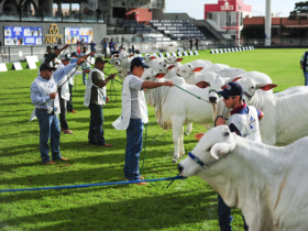 ExpoZebu 2018 será aberta oficialmente neste sábado (28)