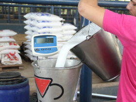 Concurso leiteiro da ExpoZebu 2018 terá duas premiações