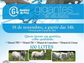 Leilão Virtual TAB G4 oferta genética avaliada pelo PMGZ