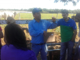 Tocantins terá Pró-Genética e sedia Seminário de Sensibilização do programa