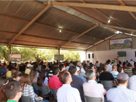 Programação oficial da ExpoZebu Dinâmica é divulgada