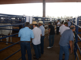 Abertura oficial da ExpoGenética acontece no Centro de Eventos, no dia 22 de agosto