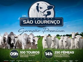 ?Leilão Fazenda São Lourenço ? Geração Premium? será realizado no próximo domingo (08) 