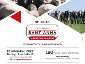 ?31º Leilão Fazendas Sant?Anna? irá ofertar 180 touros Nelore e Brahman no domingo (13)