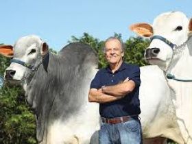 Vice-presidente da ABCZ está entre as 100 personalidades mais influentes do agronegócio brasileiro