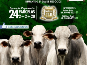 ?3º Leilão Reprodutores Nelore JLB e convidados? vai oferecer 45 touros no próximo sábado (16)